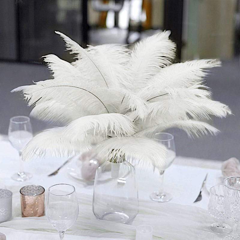 12 pcs 13 - 15 inches Genuine Ostrich Feathers