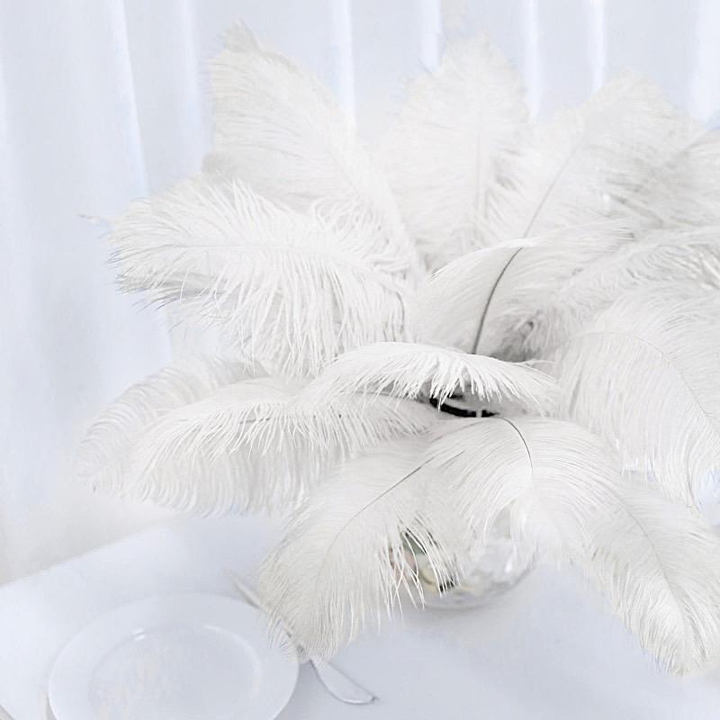 12 pcs 13 - 15 inches Genuine Ostrich Feathers