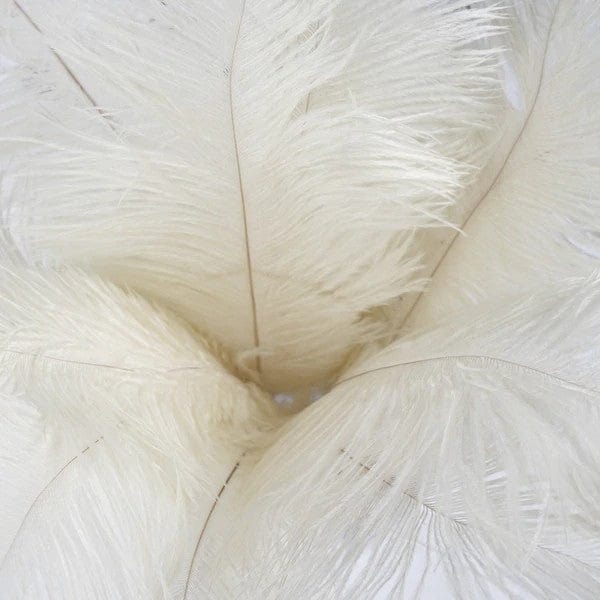 12 pcs 13 - 15 inches Genuine Ostrich Feathers