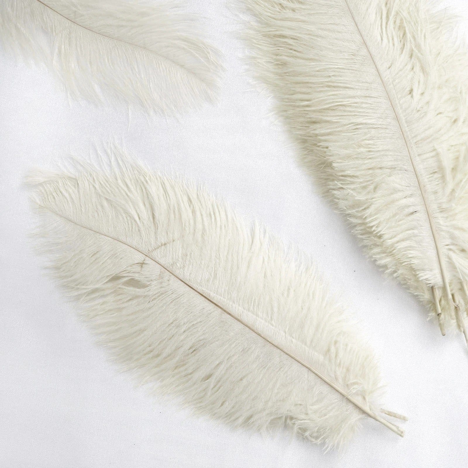 12 pcs 13 - 15 inches Genuine Ostrich Feathers