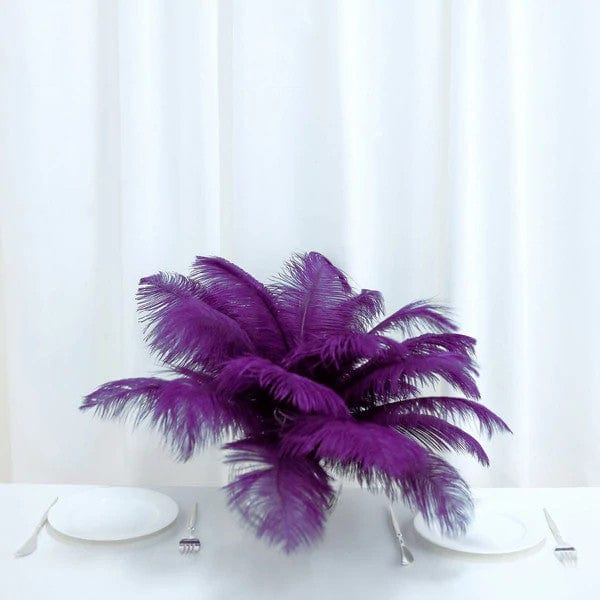 12 pcs 13 - 15 inches Genuine Ostrich Feathers
