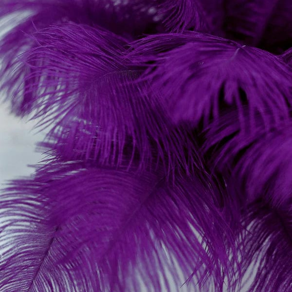 12 pcs 13 - 15 inches Genuine Ostrich Feathers