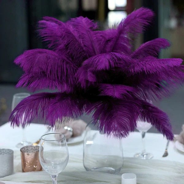 12 pcs 13 - 15 inches Genuine Ostrich Feathers