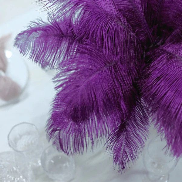 12 pcs 13 - 15 inches Genuine Ostrich Feathers