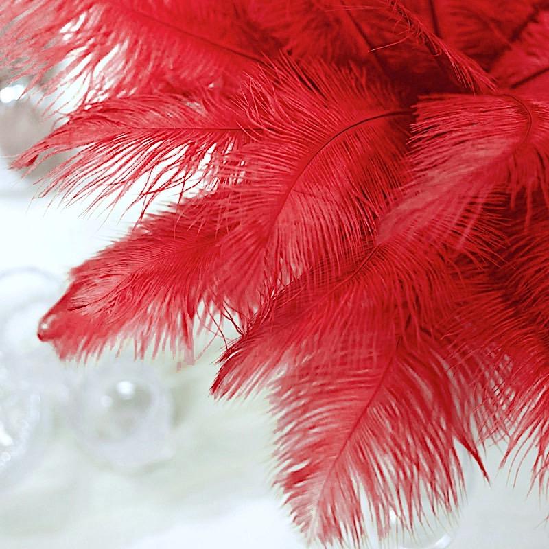 12 pcs 13 - 15 inches Genuine Ostrich Feathers