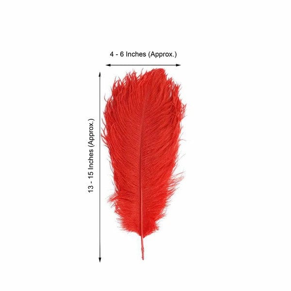 12 pcs 13 - 15 inches Genuine Ostrich Feathers