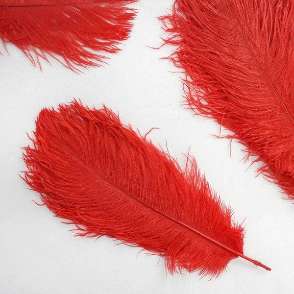 12 pcs 13 - 15 inches Genuine Ostrich Feathers
