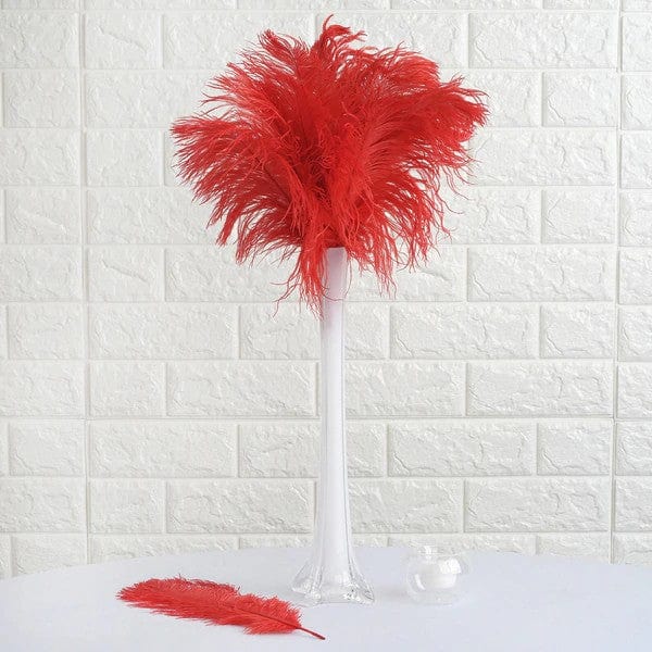 12 pcs 13 - 15 inches Genuine Ostrich Feathers