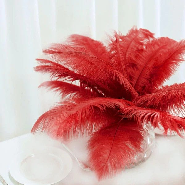 12 pcs 13 - 15 inches Genuine Ostrich Feathers