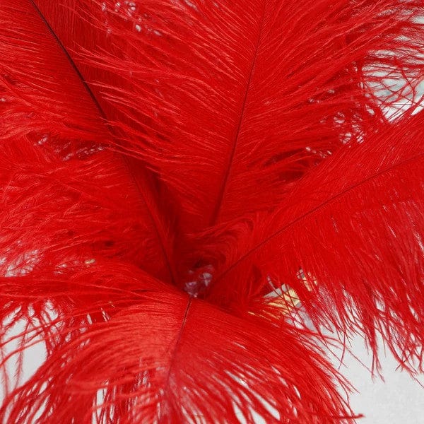 12 pcs 13 - 15 inches Genuine Ostrich Feathers