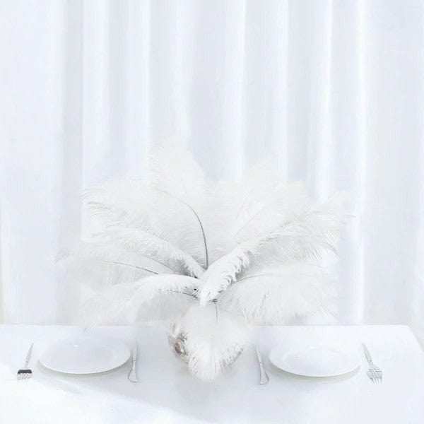 12 pcs 13 - 15 inches Genuine Ostrich Feathers