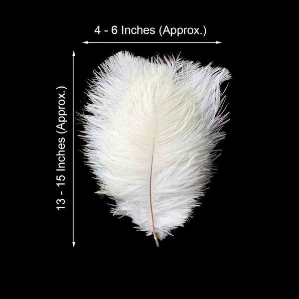 12 pcs 13 - 15 inches Genuine Ostrich Feathers