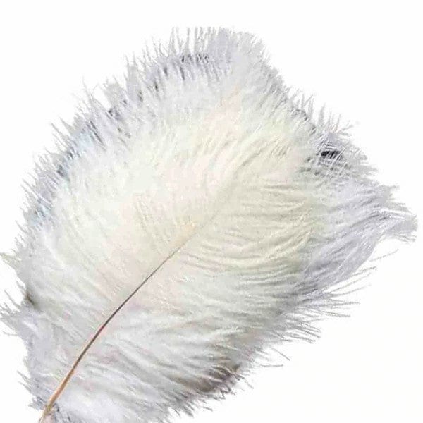 12 pcs 13 - 15 inches Genuine Ostrich Feathers