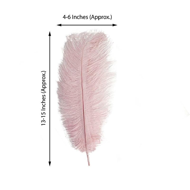 12 pcs 13 - 15 inches Genuine Ostrich Feathers