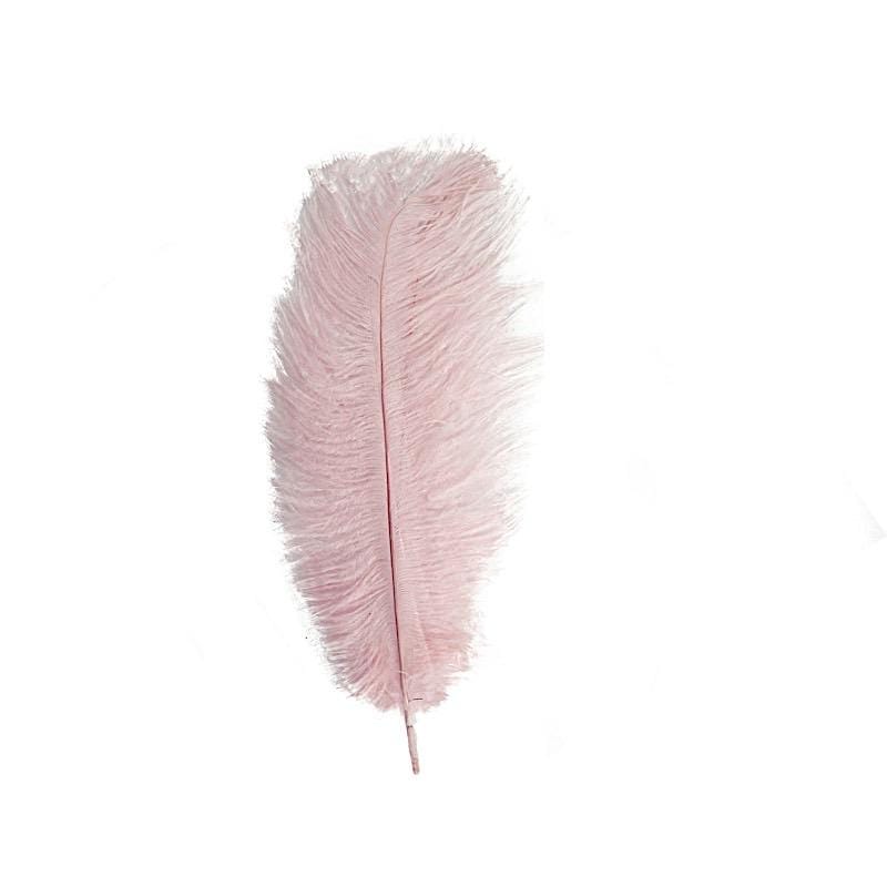 12 pcs 13 - 15 inches Genuine Ostrich Feathers
