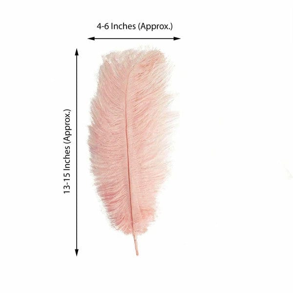 12 pcs 13 - 15 inches Genuine Ostrich Feathers