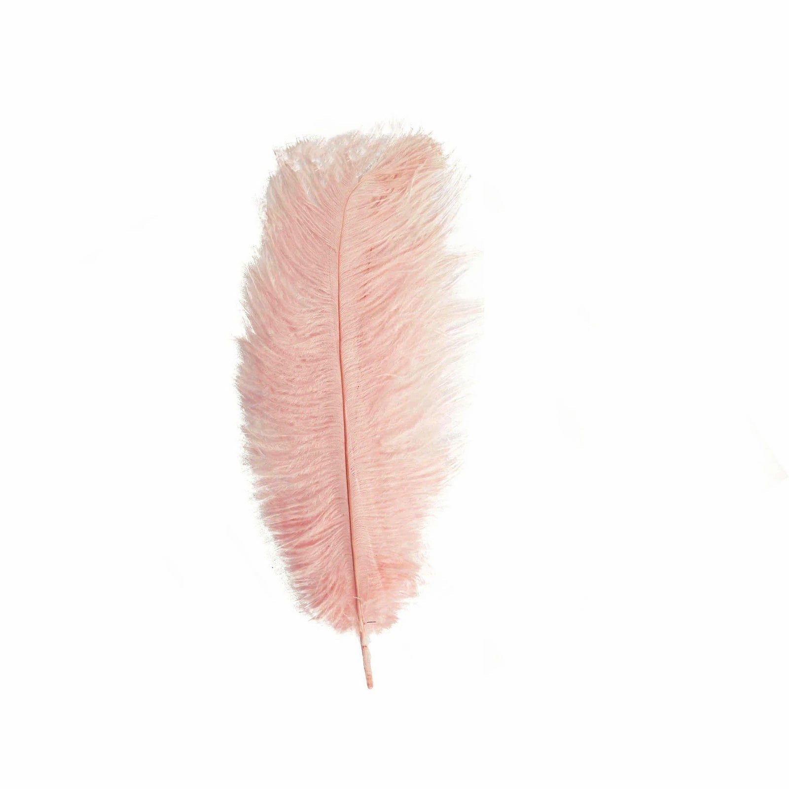 12 pcs 13 - 15 inches Genuine Ostrich Feathers