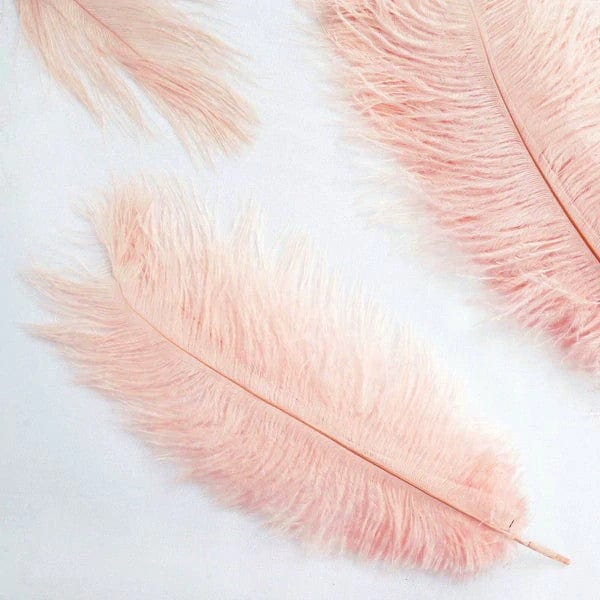 12 pcs 13 - 15 inches Genuine Ostrich Feathers