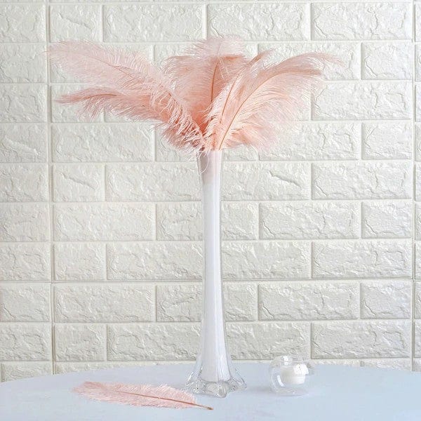 12 pcs 13 - 15 inches Genuine Ostrich Feathers
