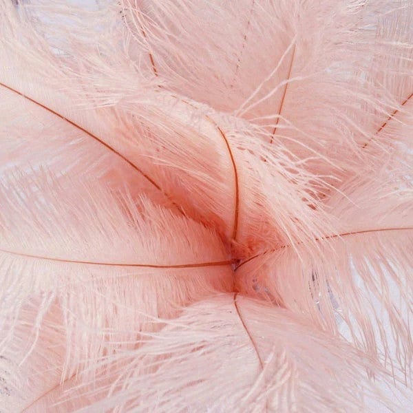 12 pcs 13 - 15 inches Genuine Ostrich Feathers
