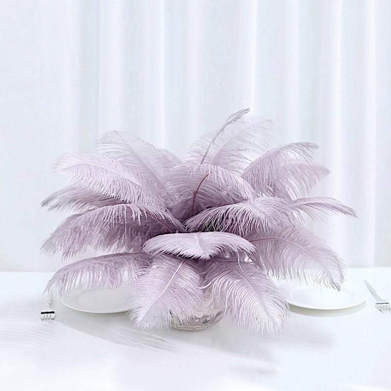 12 pcs 13 - 15 inches Genuine Ostrich Feathers