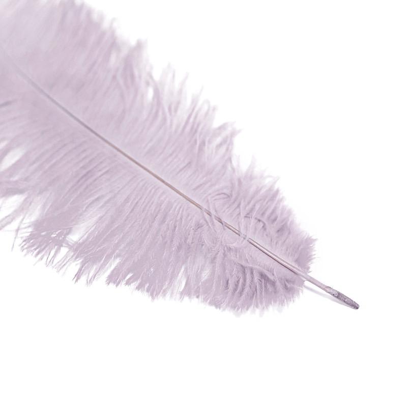 12 pcs 13 - 15 inches Genuine Ostrich Feathers