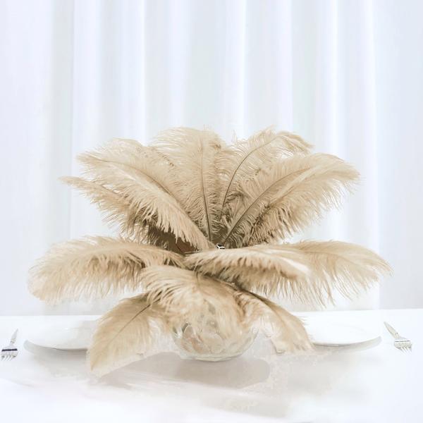 12 pcs 13 - 15 inches Genuine Ostrich Feathers