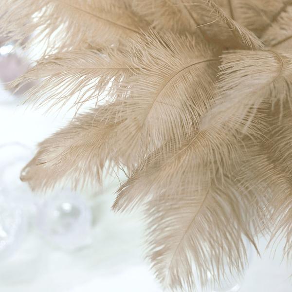 12 pcs 13 - 15 inches Genuine Ostrich Feathers