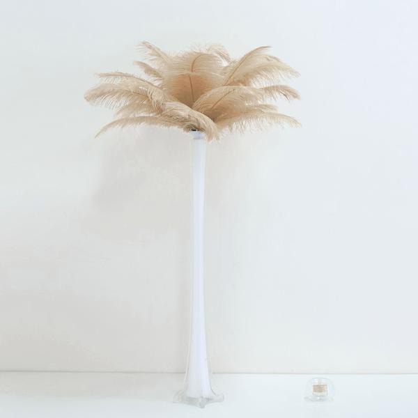 12 pcs 13 - 15 inches Genuine Ostrich Feathers
