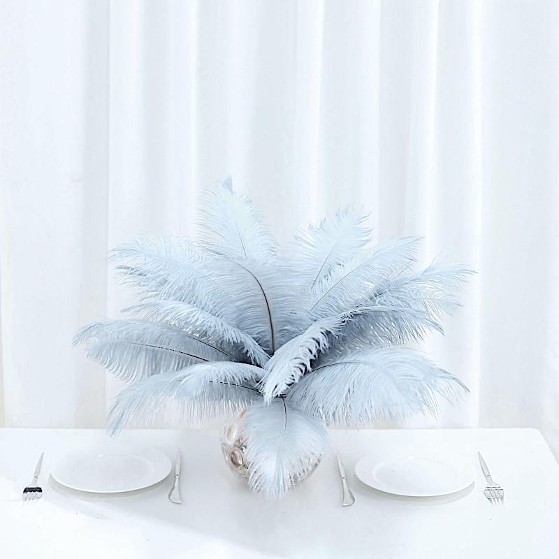 12 pcs 13 - 15 inches Genuine Ostrich Feathers