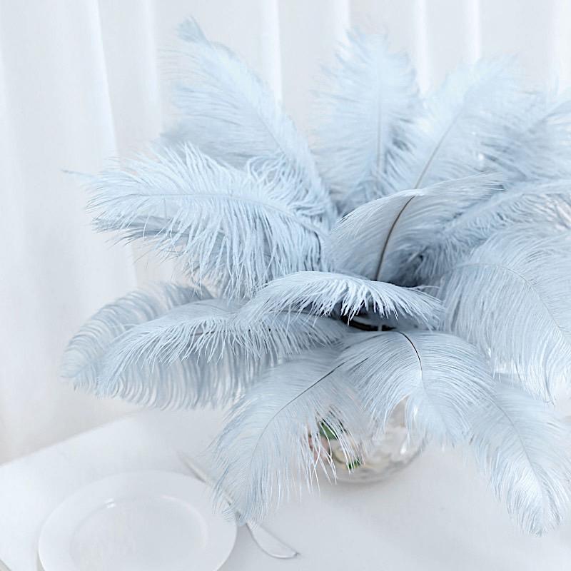 12 pcs 13 - 15 inches Genuine Ostrich Feathers