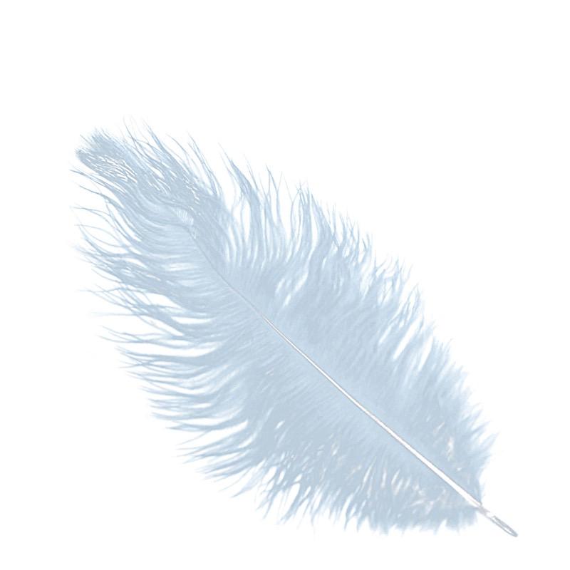 12 pcs 13 - 15 inches Genuine Ostrich Feathers