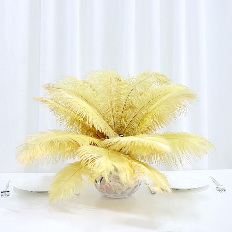12 pcs 13 - 15 inches Genuine Ostrich Feathers