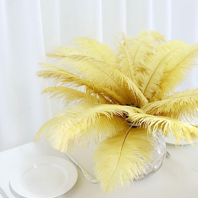 12 pcs 13 - 15 inches Genuine Ostrich Feathers