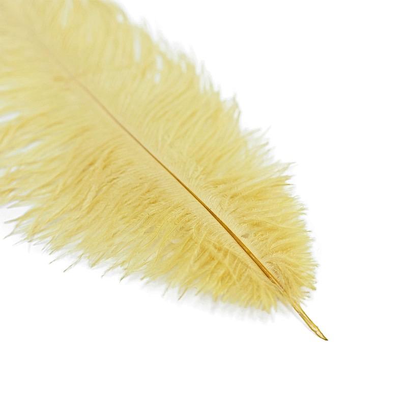 12 pcs 13 - 15 inches Genuine Ostrich Feathers