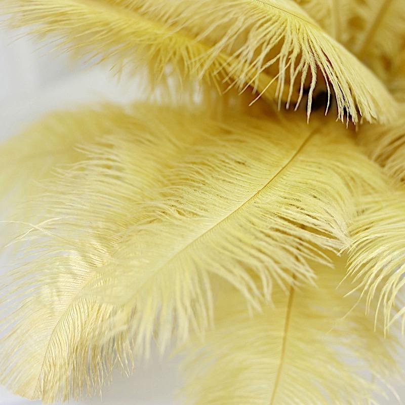 12 pcs 13 - 15 inches Genuine Ostrich Feathers