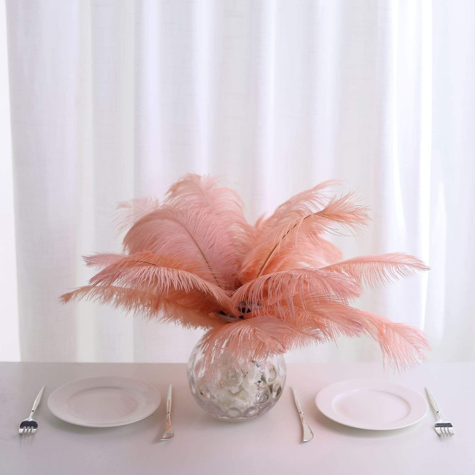 12 pcs 13 - 15 inches Genuine Ostrich Feathers