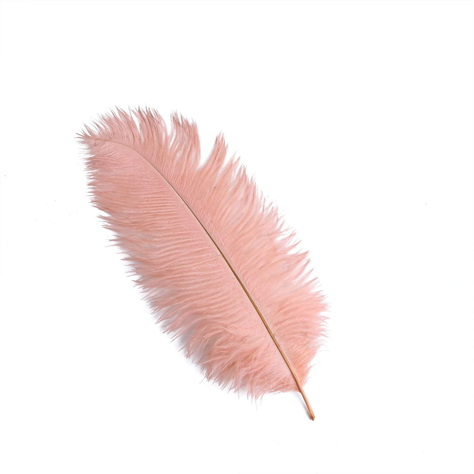 12 pcs 13 - 15 inches Genuine Ostrich Feathers