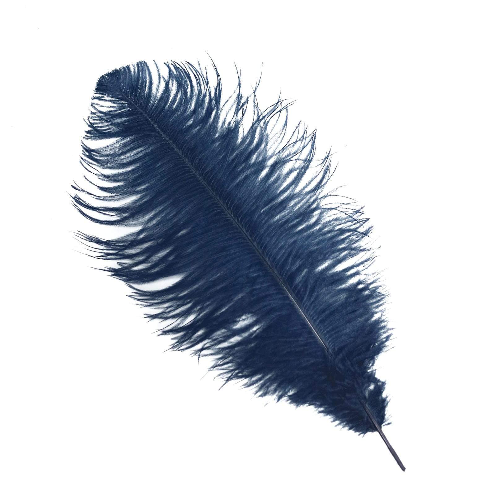 12 pcs 13 - 15 inches Genuine Ostrich Feathers