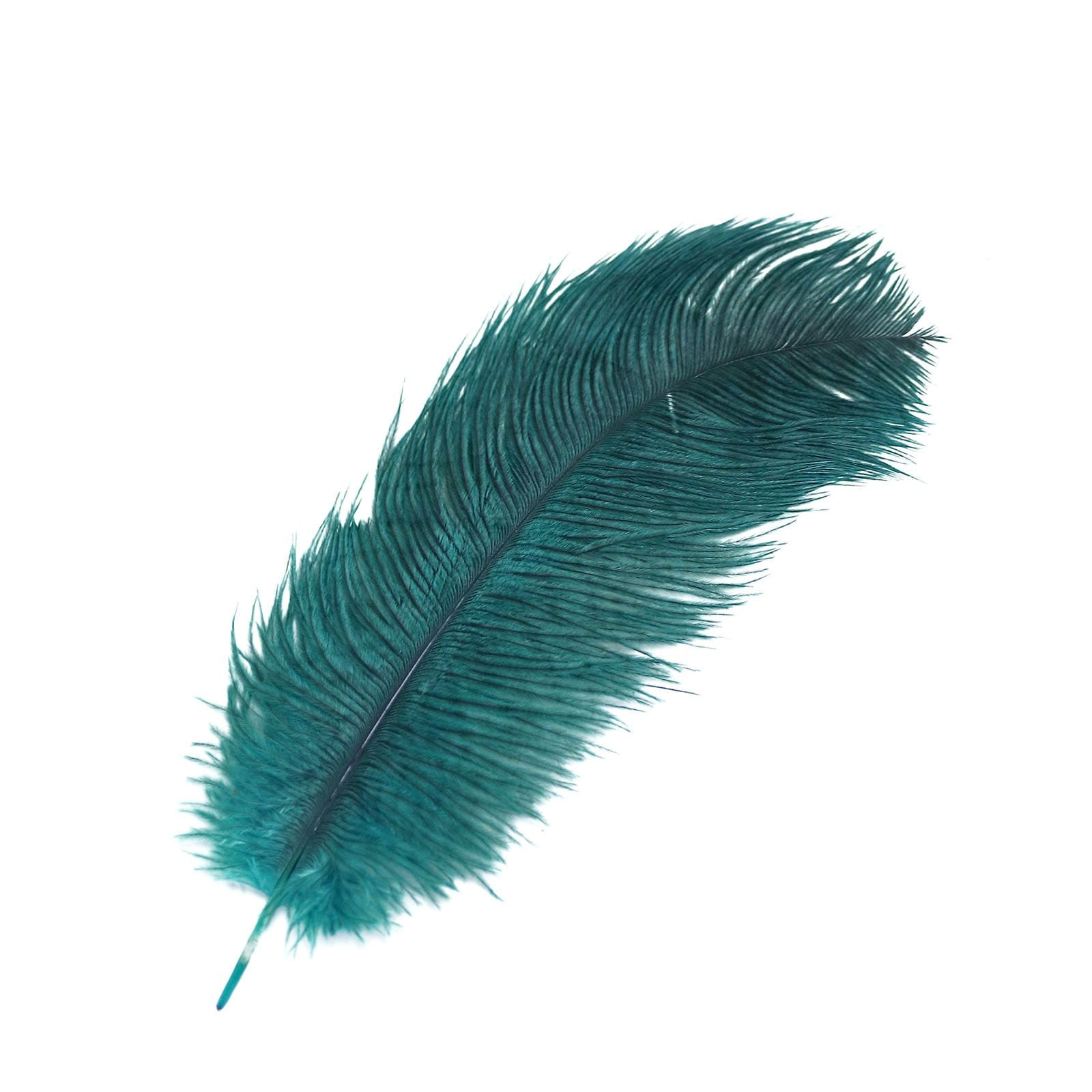 12 pcs 13 - 15 inches Genuine Ostrich Feathers