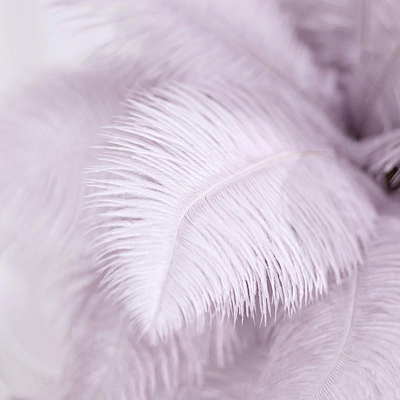 12 pcs 13 - 15 inches Genuine Ostrich Feathers