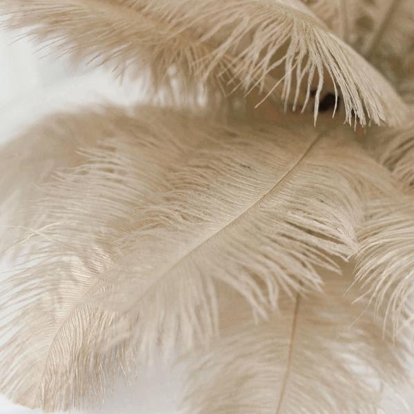 12 pcs 13 - 15 inches Genuine Ostrich Feathers