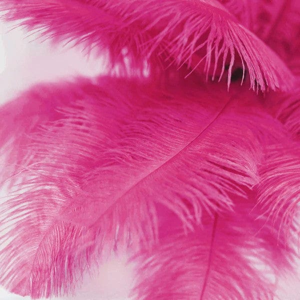 12 pcs 13 - 15 inches Genuine Ostrich Feathers