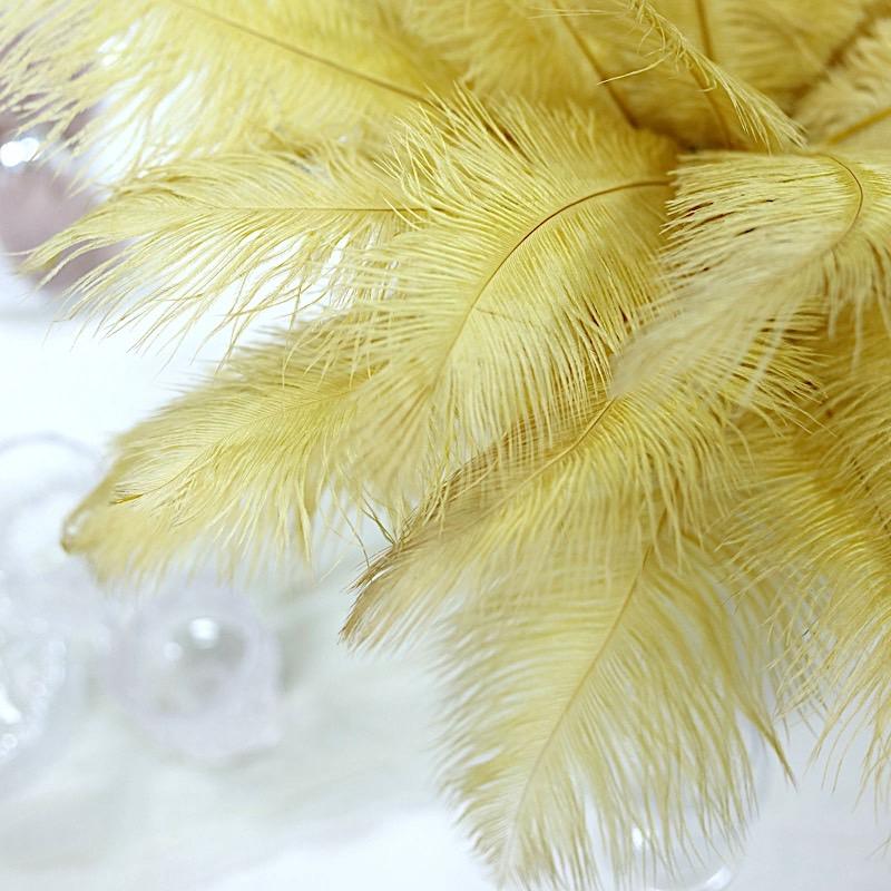 12 pcs 13 - 15 inches Genuine Ostrich Feathers