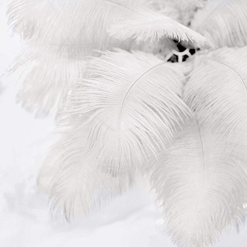 12 pcs 13 - 15 inches Genuine Ostrich Feathers