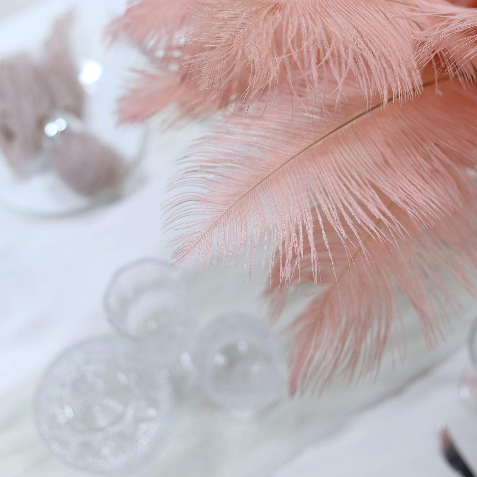 12 pcs 13 - 15 inches Genuine Ostrich Feathers