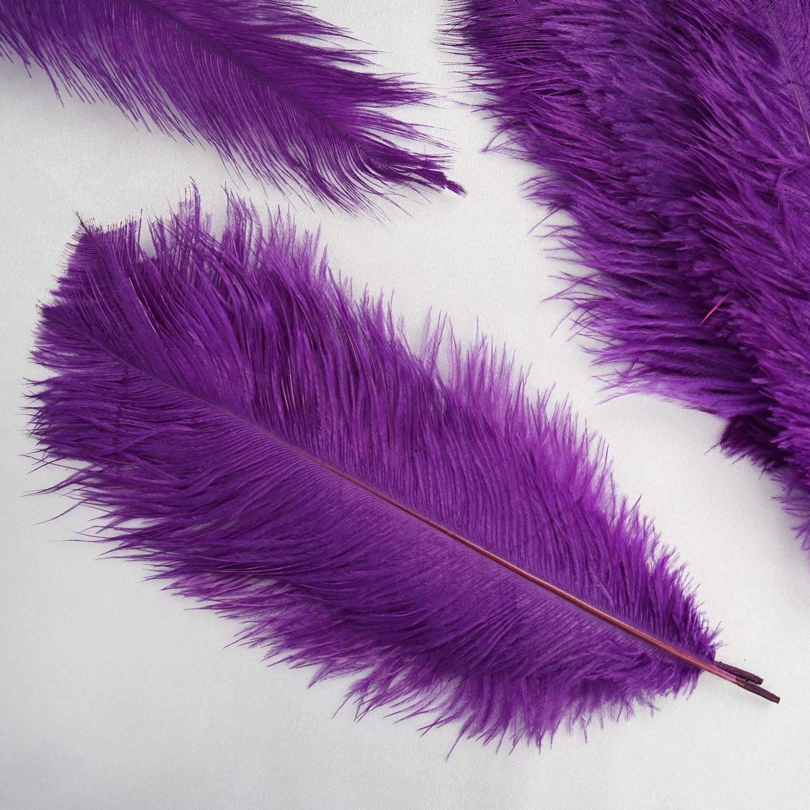 12 pcs 13 - 15 inches Genuine Ostrich Feathers