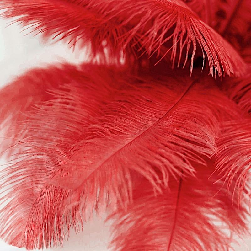 12 pcs 13 - 15 inches Genuine Ostrich Feathers
