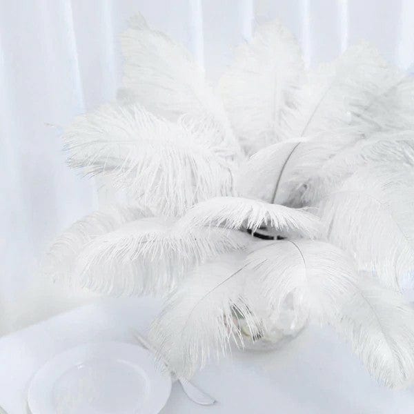 12 pcs 13 - 15 inches Genuine Ostrich Feathers