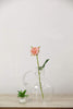 10 inch tall Jug with Wooden Base Clear Glass Vase